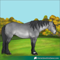 Horse Color:Brown Chinchilla Rabicano 
