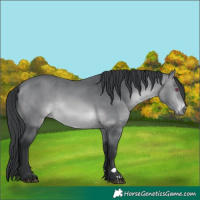 Horse Color:Brown Chinchilla 