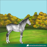 Horse Color:White Spotted Silver Brown Chinchilla Onyx Splash 