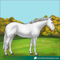 Horse Color:White Spotted Silver Grullo Chinchilla Ice Pearl Sabino