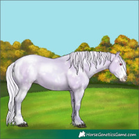 Horse Color:Watercolor White Spotted Silver Brown Chinchilla Pearl Dun Sabino 