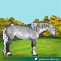 Horse Color:Silver Brown Chinchilla Tobiano 