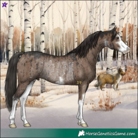 Horse Color:White Spotted Liver Red Dun Rabicano Brindle