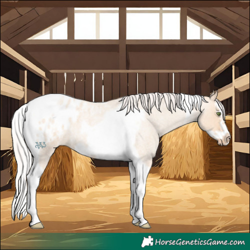 Horse Color:Silver Amber Champagne Roan Dun Splash Tobiano Frame Blanket Rabicano