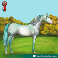 Horse Color:Gray Watercolor Amber Champagne Rabicano 
