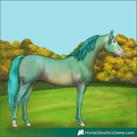 Horse Color:Gray Watercolor Amber Champagne Rabicano 