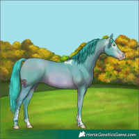 Horse Color:Gray Watercolor Amber Champagne Tobiano Rabicano 