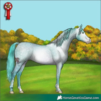 Horse Color:Gray Watercolor Amber Champagne Tobiano Rabicano 