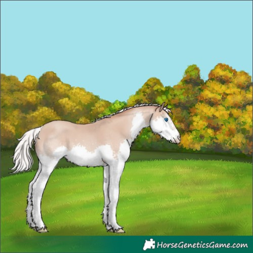 Horse Color:Silver Classic Champagne Splash 