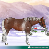 Horse Color:Silver Brown Tobiano Rabicano