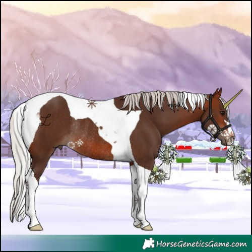 Horse Color:Silver Brown Tobiano Rabicano 