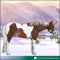 Horse Color:Silver Brown Tobiano Rabicano