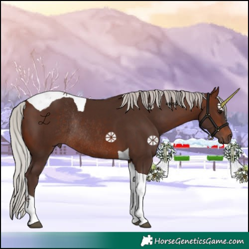 Horse Color:Silver Brown Tobiano Rabicano 
