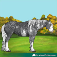 Horse Color:White Spotted Silver Black Chinchilla 