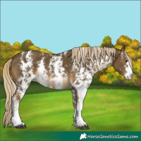 Horse Color:Chocolate Palomino Mushroom Sabino 