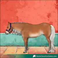 Horse Color:Silver Bay 