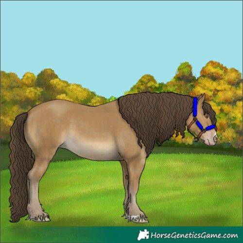 Horse Color:Classic Cream Champagne 