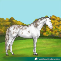 Horse Color:White Spotted Chocolate Palomino Mushroom 