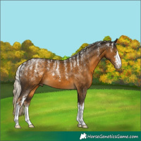 Horse Color:Powder White White Spotted Chocolate Palomino Mushroom 