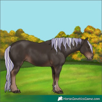 Horse Color:Painted Liver Chestnut Mushroom Sabino Rabicano 