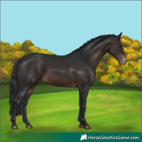 Horse Color:White Spotted Brown Mushroom Varnish 