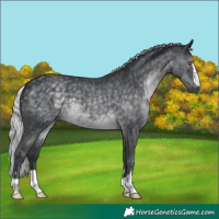 Horse Color:Silver Black Chinchilla 