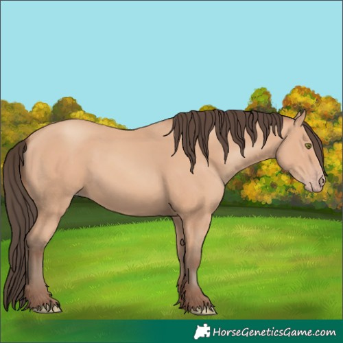 Horse Color:Amber Champagne 