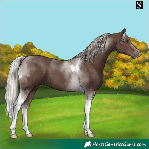 Horse Color:Silver Black Tobiano 