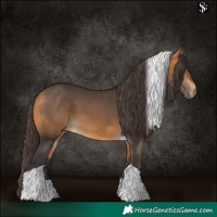Horse Color:Buckskin Tobiano