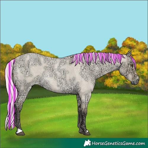 Horse Color:Painted Silver Buckskin Ice Roan Dun 