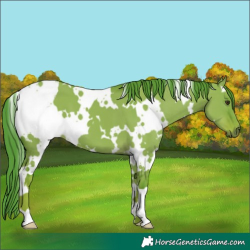 Horse Color:Watercolor White Spotted Liver Red Dun 