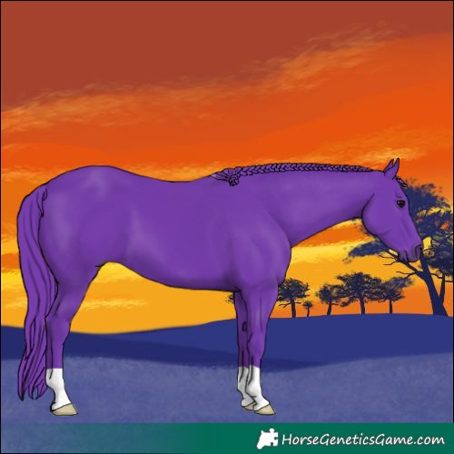 Horse Color:Watercolor Black 