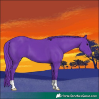 Horse Color:Watercolor Black 