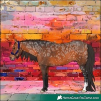 Horse Color:Bay Ice 