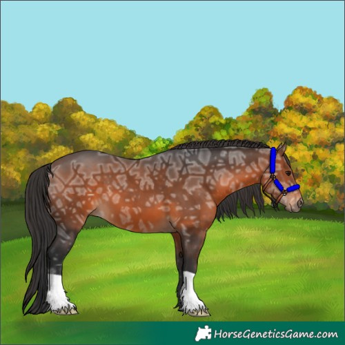 Horse Color:Brown Ice