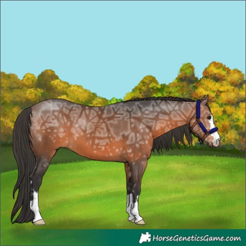 Horse Color:Brown Ice 
