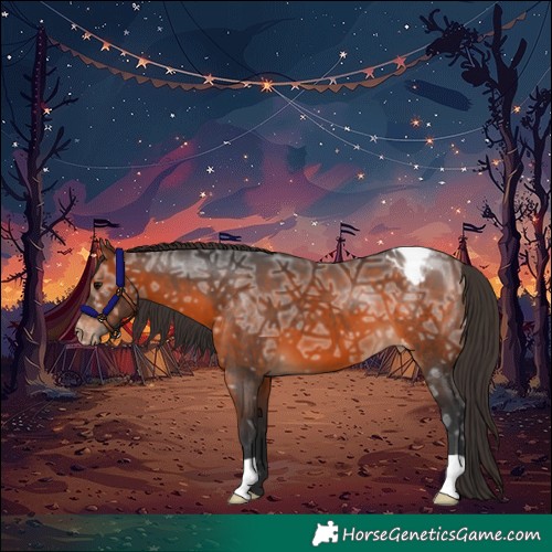 Horse Color:Brown Ice Blanket 