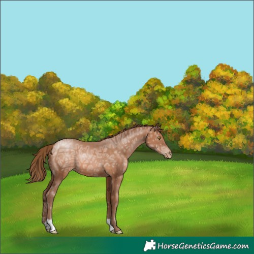 Horse Color:Brown Ice Pearl
