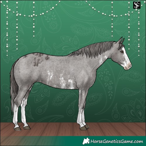 Horse Color:Liver Chestnut Sabino Splash Varnish  and Liver Chestnut Sabino Splash Varnish 