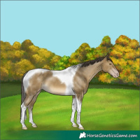 Horse Color:Classic Cream Champagne Tobiano