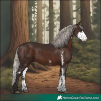 Horse Color:Silver Brown Sabino 