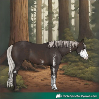 Horse Color:Silver Brown Sabino 