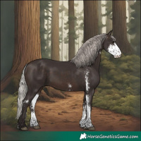 Horse Color:Silver Brown Sabino 