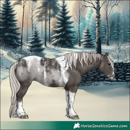 Horse Color:Powder White Silver Black Tobiano 