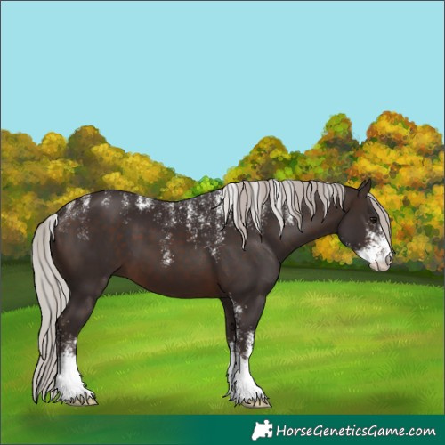 Horse Color:Powder White Silver Brown Sabino 