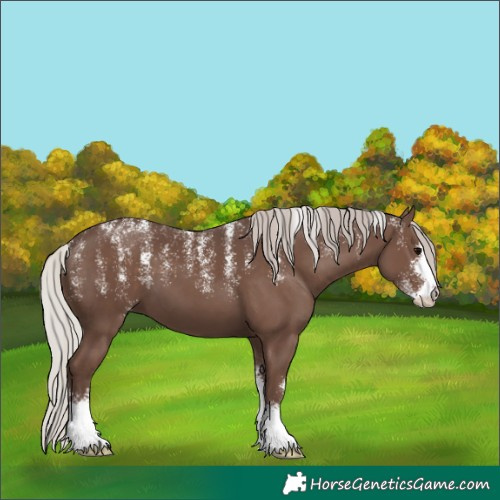 Horse Color:Powder White Silver Black Sabino 
