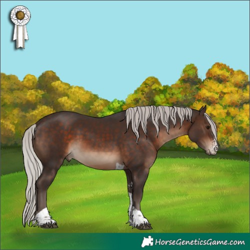 Horse Color:Silver Brown Sabino Tobiano 