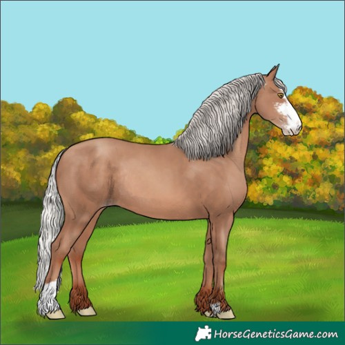 Horse Color:Silver Sable Champagne Sabino Rabicano 