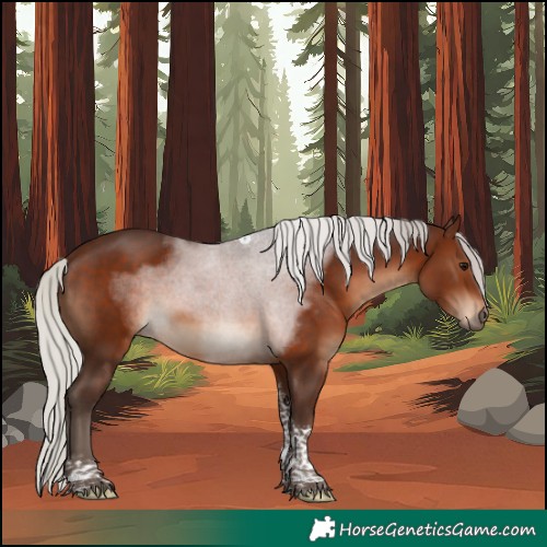 Horse Color:Silver Brown Tobiano 