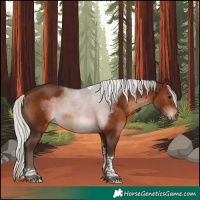 Horse Color:Silver Brown Tobiano 